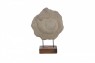 Escultura Caracol em Pedra com Base de Madeira A53xD40 cm