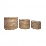 JG 03 PC CESTO DE FIBRA NATURAL C/ TAMPA REVESTIDO INTERNAMENTE  SCP-22-W