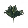 FLOR ARTIFICIAL SAMAMBAIA  56CM