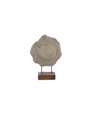 Escultura Caracol em Pedra com Base de Madeira A53xD40 cm