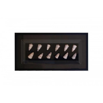 Quadro Decorativo Cones A80xC40xE6 cm
